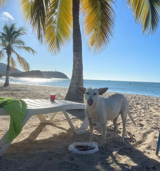 Военный спросил, все ли нам нравится: восторженный отзыв о Венесуэле