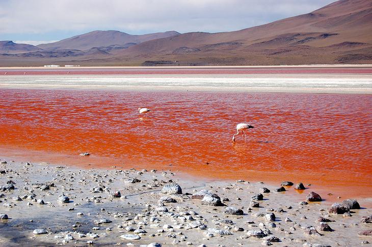 10 потрясающе красивых озер с самым необычным цветом воды