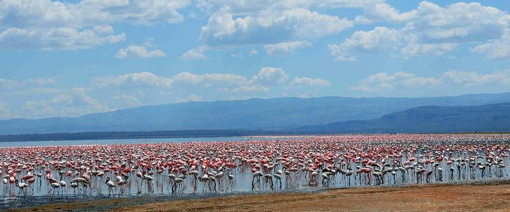 10 потрясающе красивых озер с самым необычным цветом воды