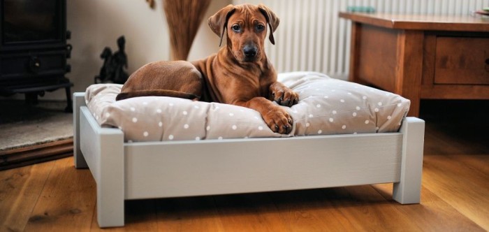 15 невероятных домиков для кошек и собак, которые заставят улыбнуться