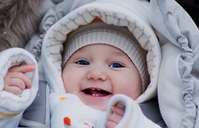 20 невероятных фактов об Антарктиде, которые знают немногие