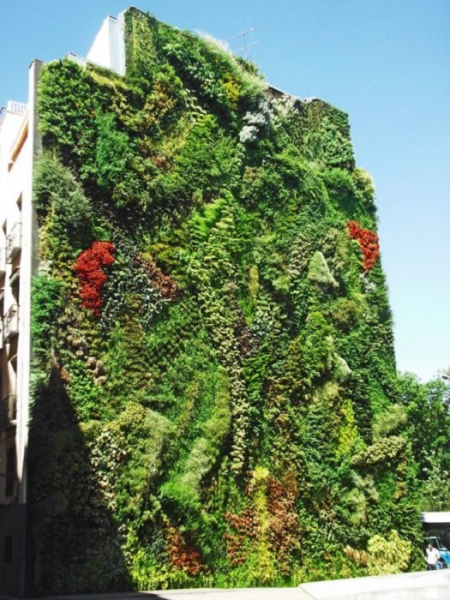 7 вертикальных садов по всему миру, которые могут превратить города в джунгли