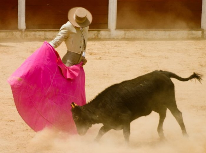 8 мифов, которые были опровергнуты, но по-прежнему бытуют в обществе