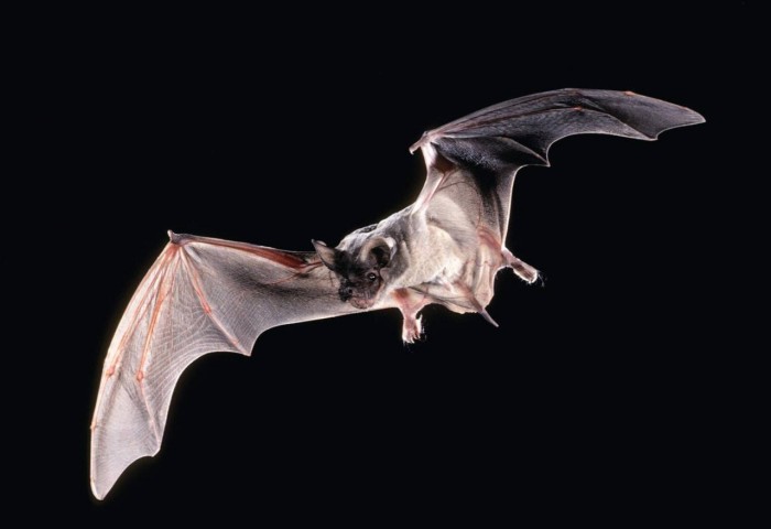 8 мифов, которые были опровергнуты, но по-прежнему бытуют в обществе