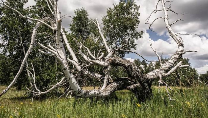 9 загадочных мест России, которые притягивают любителей мистического туризма