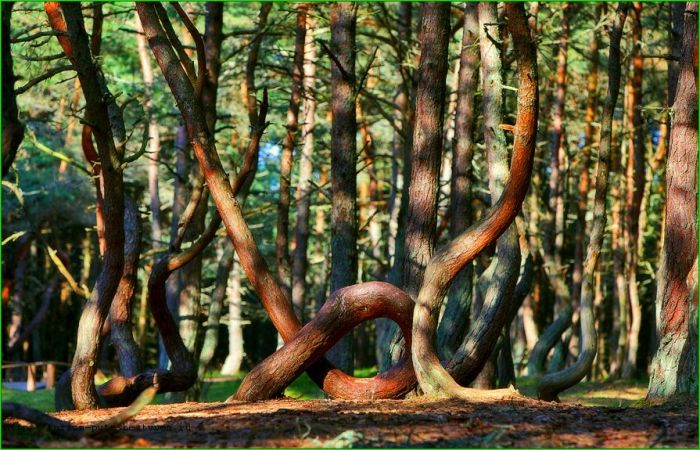 9 загадочных мест России, которые притягивают любителей мистического туризма