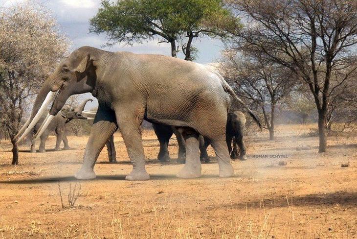 Доисторические животные