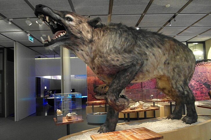 Достопримечательности Гааги