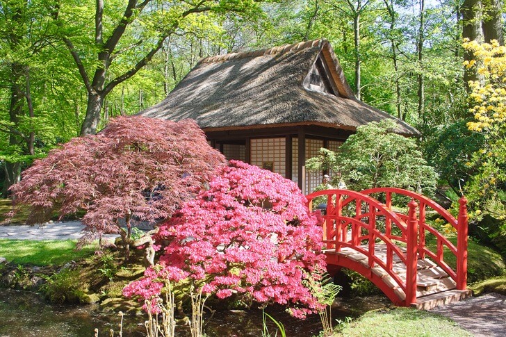 Достопримечательности Гааги