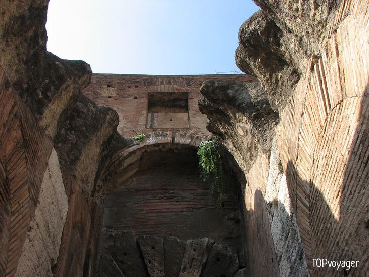 Факты о Колизее: 10 вещей, которые заставят вас по-новому взглянуть на знаменитый амфитеатр Флавиев