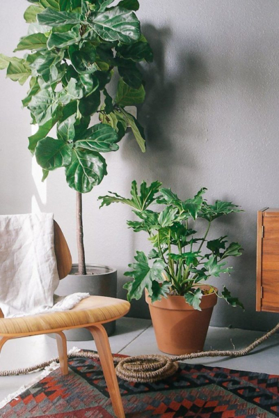 Идеи применения обыкновенной верёвки в интерьере