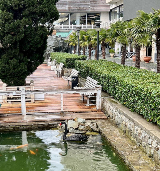 &laquo;Я бы осталась и на более долгий срок&raquo;: отзыв о Крыме в низкий сезон