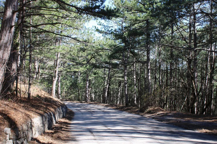 &laquo;Я бы осталась и на более долгий срок&raquo;: отзыв о Крыме в низкий сезон