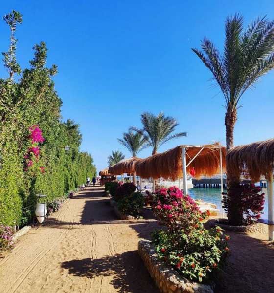 «Никакого ощущения старой бабушкиной квартиры»: отзыв о добротном отеле в Хургаде