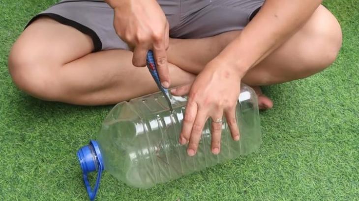 Оригинальная идея для украшения дачного участка