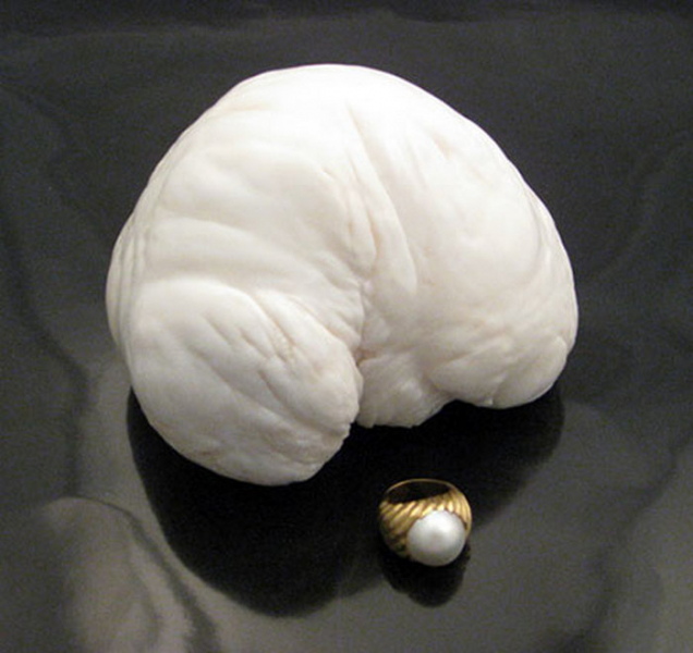 Сокровища, которые были найдены в весьма странных местах