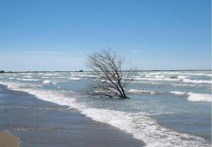 Странности природы. Кипящее, цветное, пятнистое, асфальтовое: самые загадочные озера на планете
