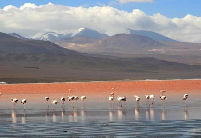 Странности природы. Кипящее, цветное, пятнистое, асфальтовое: самые загадочные озера на планете