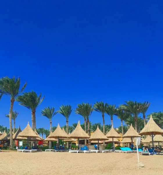 Только для убежденных интровертов: отрицательный отзыв об отеле в Шарм-эль-Шейхе