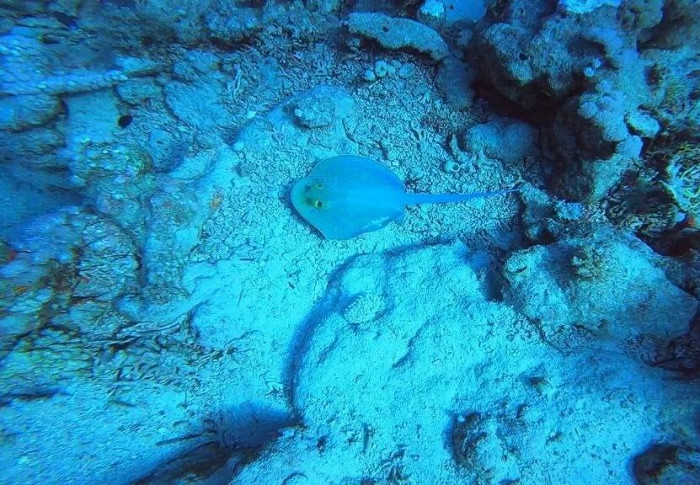 Только для убежденных интровертов: отрицательный отзыв об отеле в Шарм-эль-Шейхе