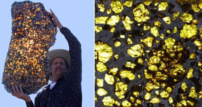 12 удивительных созданий природы, о которых вы точно не слышали. Если, конечно, вы не биолог