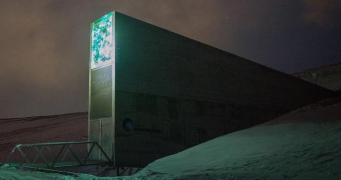 12 удивительных созданий природы, о которых вы точно не слышали. Если, конечно, вы не биолог