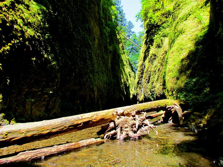 15 природных достопримечательностей Северной Америки, которые обязательно нужно увидеть