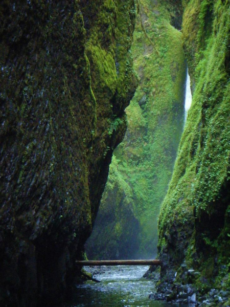 15 природных достопримечательностей Северной Америки, которые обязательно нужно увидеть