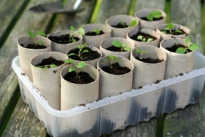 17 неординарных способов использования картонных втулок от туалетной бумаги