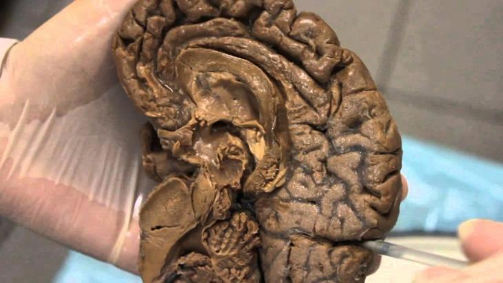 18 поразительных жизненных фактов, которые заставят вас задуматься