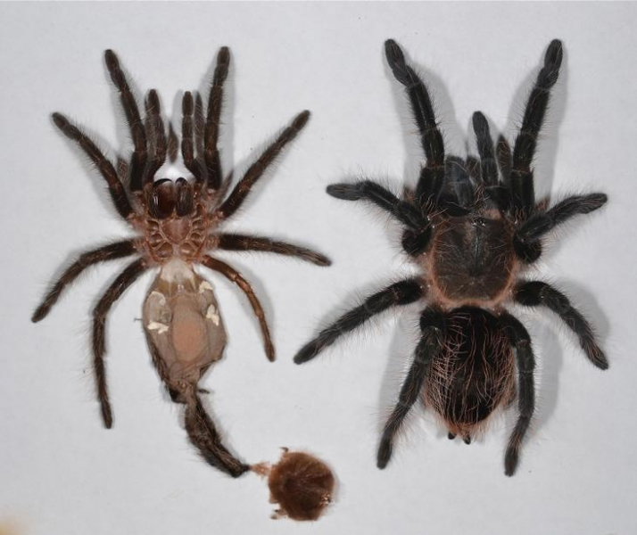 18 поразительных жизненных фактов, которые заставят вас задуматься