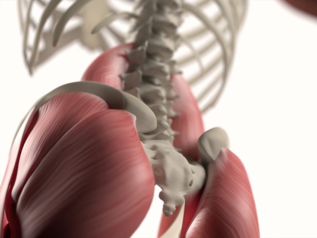 9 частей человеческого организма, ставших ненужными в ходе эволюции