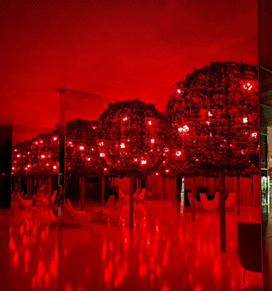 «Дешевый отель на ночь»: отзыв-разочарование о гостинице 18+ в Турции