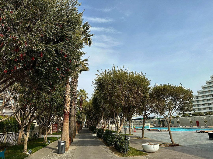 «Я не думала, что Анталия настолько «русский» город»: отзыв о Турции в апреле