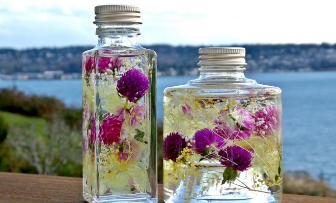 Как законсервировать цветы
