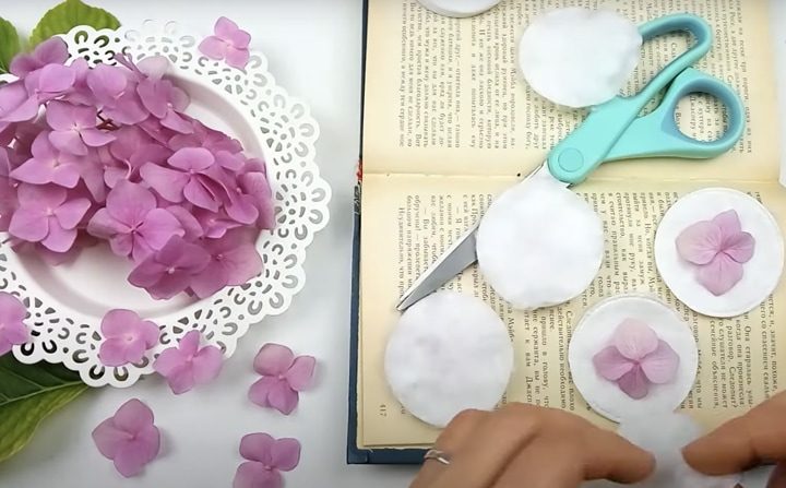 Как засушить цветы для творчества