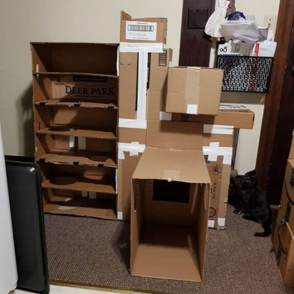 Кошачьи картонные замки и крепости