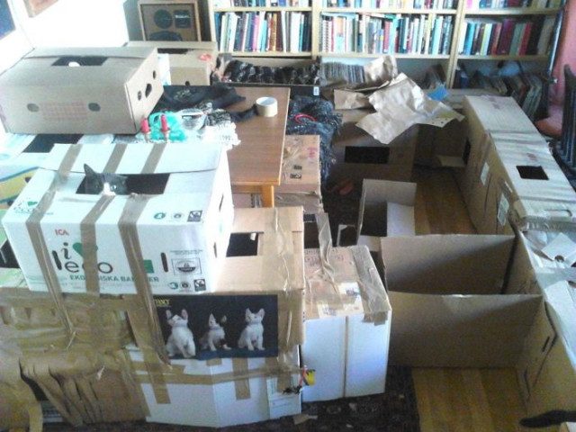 Кошачьи картонные замки и крепости