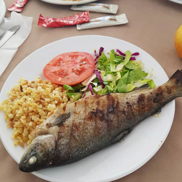 «Наш домашний курорт»: отзыв о Бодруме за 160 тысяч