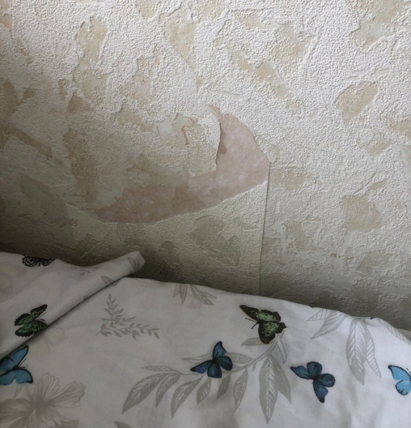 «Такие на помойке трудно найти»: разгромный отзыв о санатории в Краснодарском крае