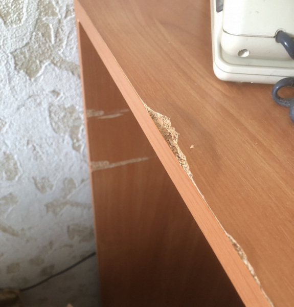 «Такие на помойке трудно найти»: разгромный отзыв о санатории в Краснодарском крае