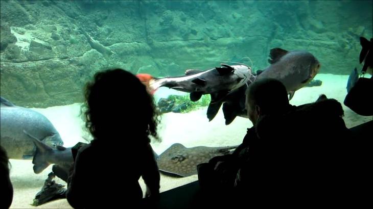 ТОП-10 достопримечательностей Копенгагена