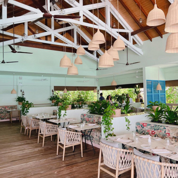 Уникальный климат, бесплатные обеды и попугай-сторож: восторженный отзыв о Мальдивах