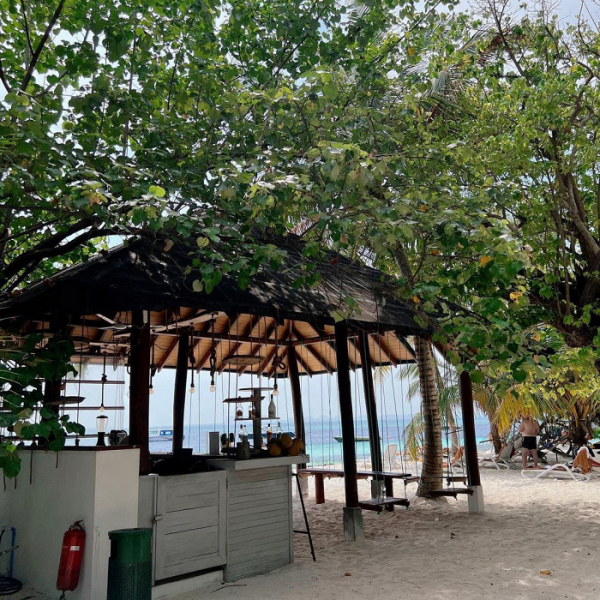 Уникальный климат, бесплатные обеды и попугай-сторож: восторженный отзыв о Мальдивах