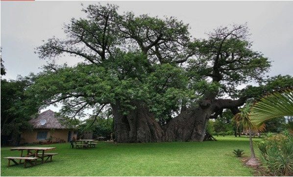 10 нетривиальных фактов о популярных туристических направлениях