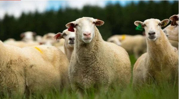 10 нетривиальных фактов о популярных туристических направлениях