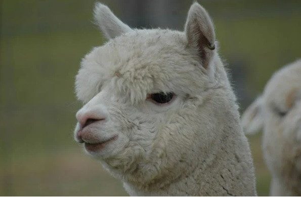 10 нетривиальных фактов о популярных туристических направлениях