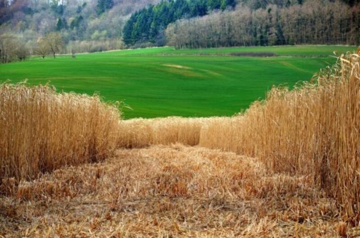 10 распространённых мифов об окружающей среде