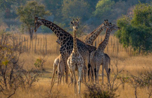 10 самых опасных туристических направлений: мифы и правда