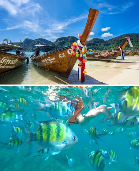 20+ фото из необыкновенного Таиланда, которые удивляют, умиляют и обескураживают